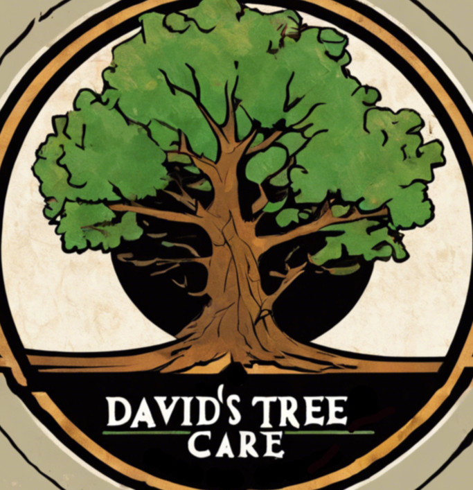 Davids Tree Care logo