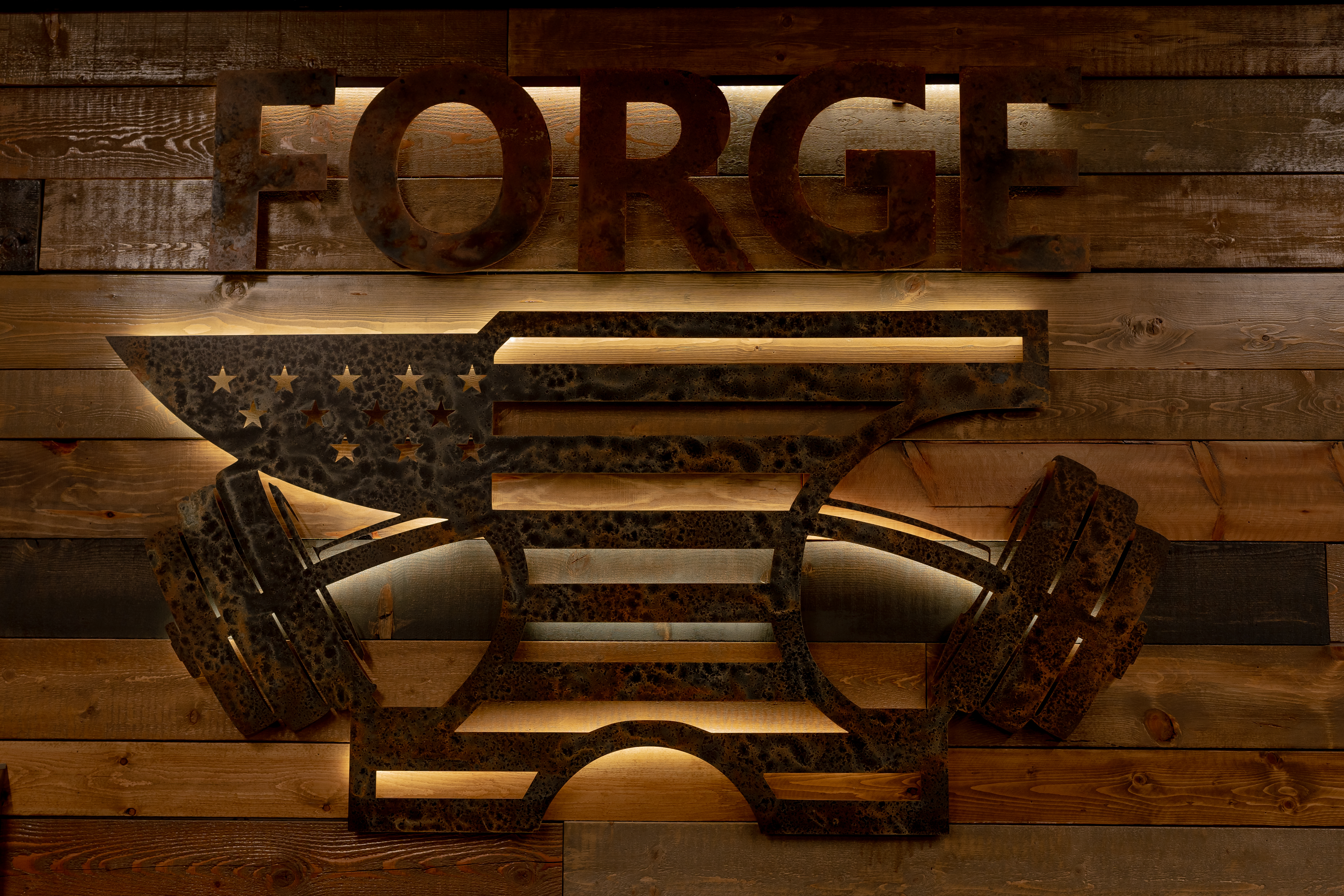 Forge Training & Performance logo