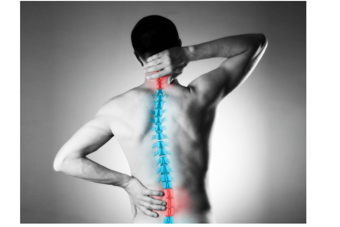 Elite Chiropractic & Performance Center logo