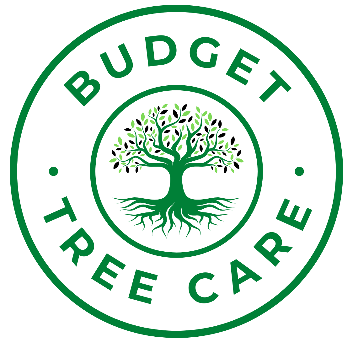 Budget Tree Care logo