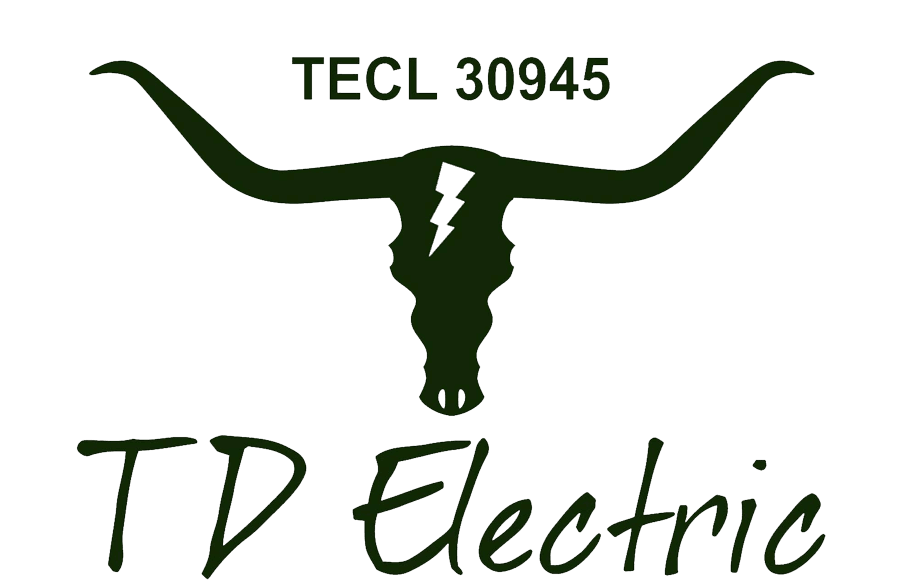 TD Electric logo