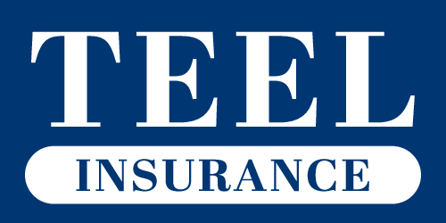 Teel Insurance Agency Inc logo
