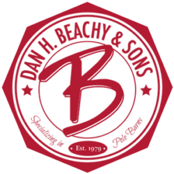 Beachy Dan H & Sons Inc logo