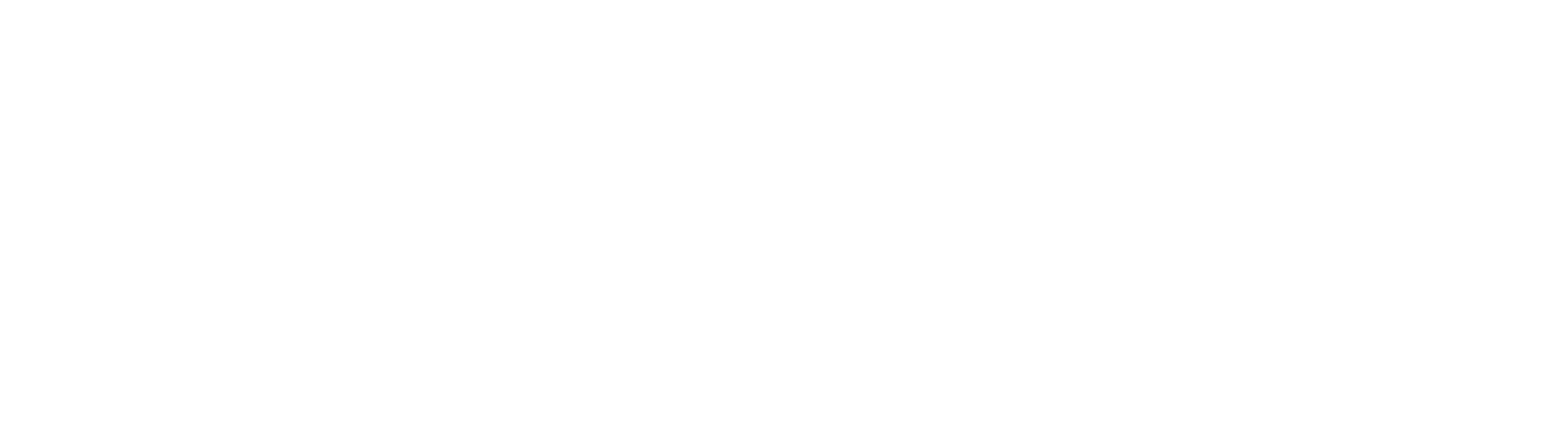 Brandi Lynn Photography logo