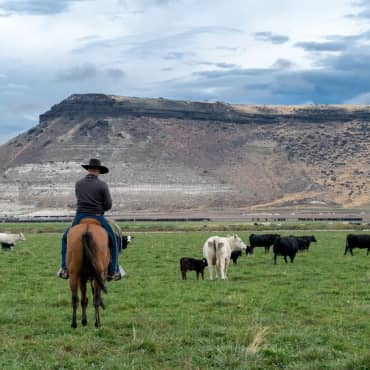 Simplot Land & Livestock logo