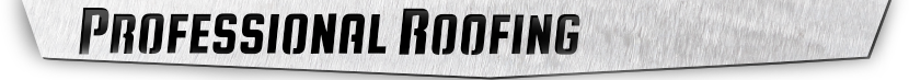 Professional Roofing logo