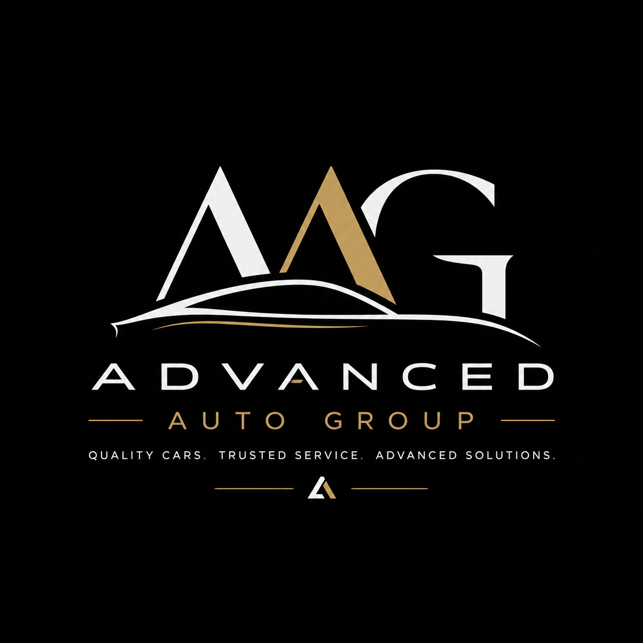 Advanced Auto Group LLC logo