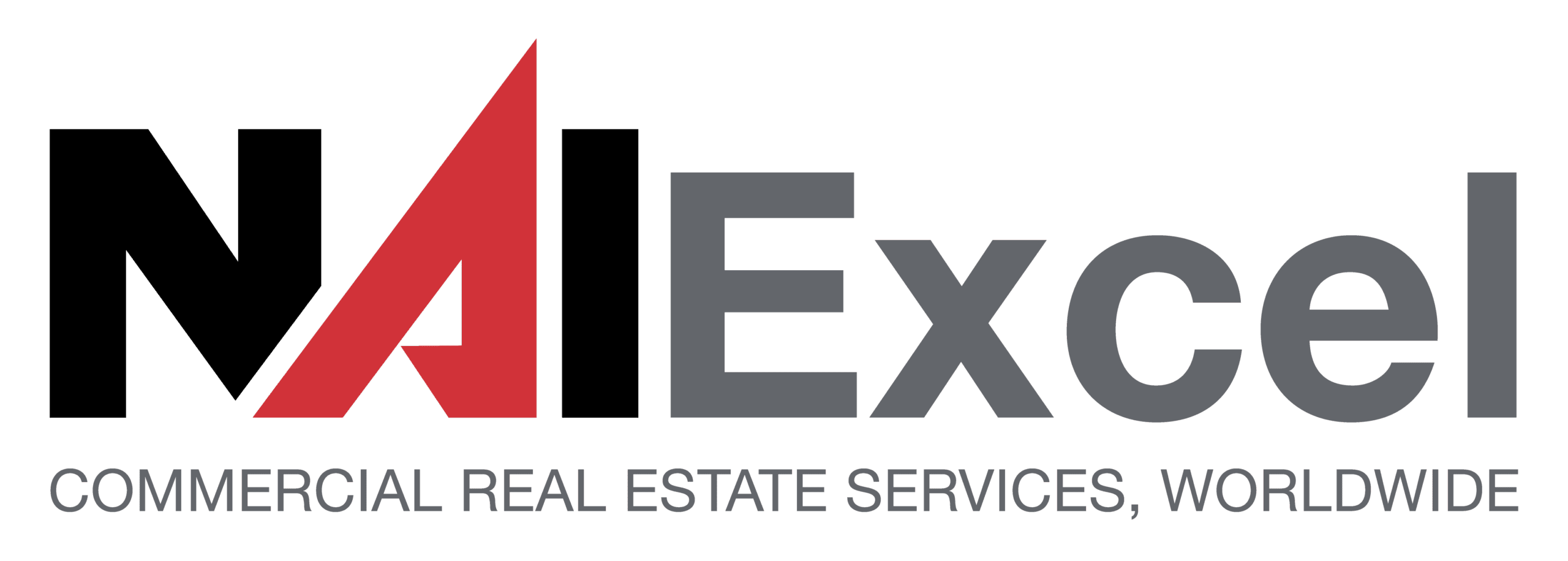 NAI Excel logo