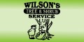Wilson's Tree & Shrub Service logo