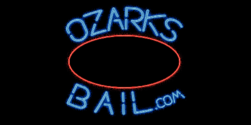 AAA Aardvark Bail Bonds logo