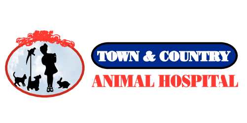 Town & Country Animal Hospital logo