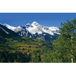 High Mountain Forest Products Inc logo