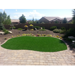 Landscape Now Inc logo