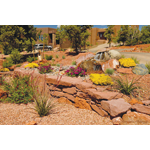 Joshua Tree & Landscape Service logo