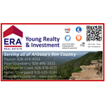 ERA Young Realty & Investment logo