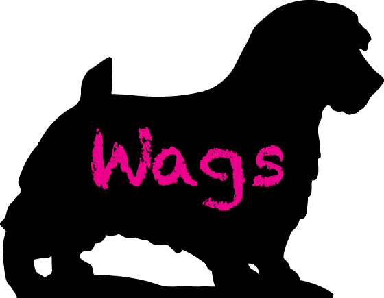 Wags Dog Daycare logo
