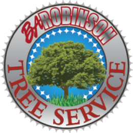 BA Robinson logo