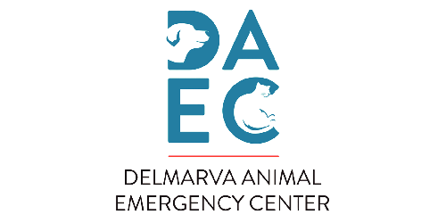 Delmarva Animal Emergency Center logo