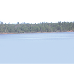 White Mountain Realty logo