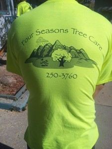 Four Seasons Tree Care logo