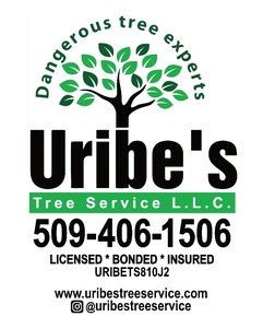 Uribe'S Tree Service Llc logo
