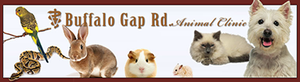 Advertise Banner for https://www.namesandnumbers.com/biz/648/buffalo-gap-road-animal-clinic