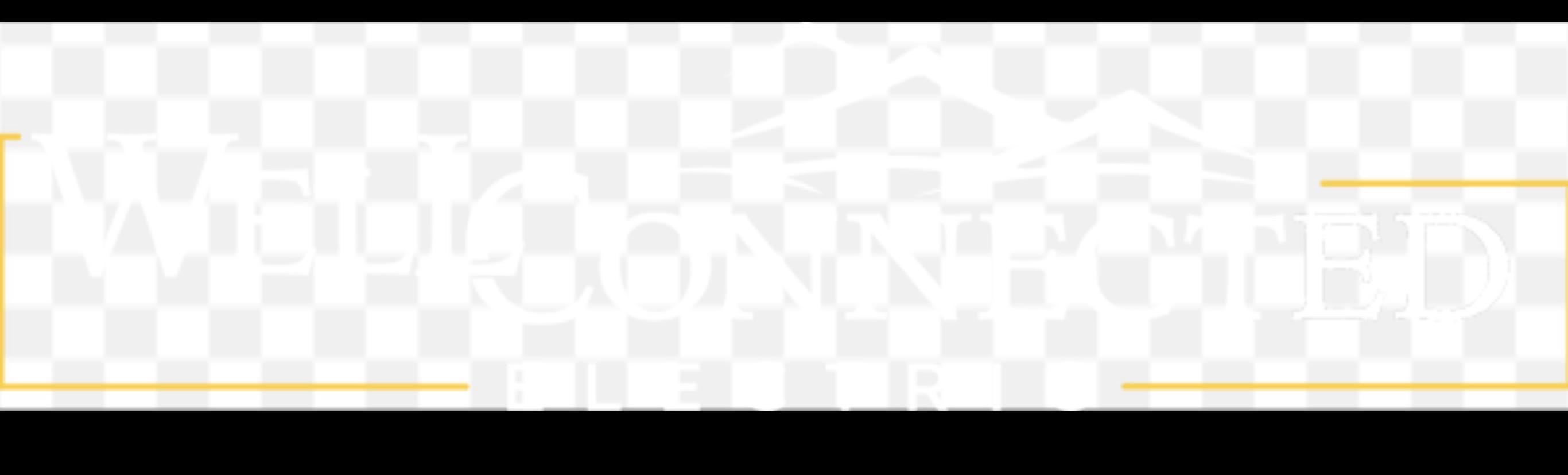 Well Connected logo
