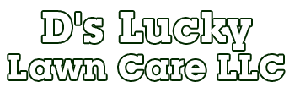 D'S Lucky Lawn Care Llc logo