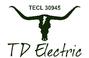 Td Electric logo