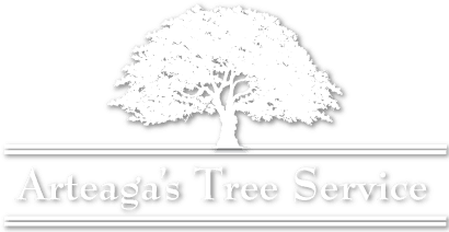 A'S Tree Service logo