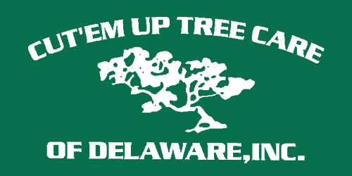 Cut'Em Up Tree Care Of Delaware Inc logo
